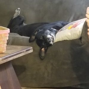 Meet your Posher, Tami